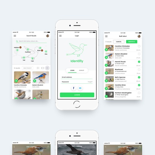 Custom bird-watching app