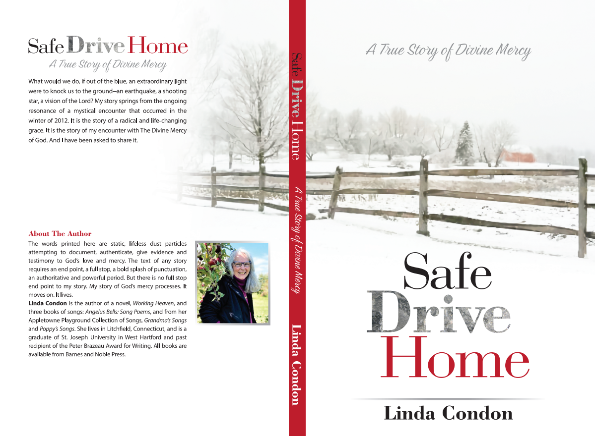 Safe Drive Home 