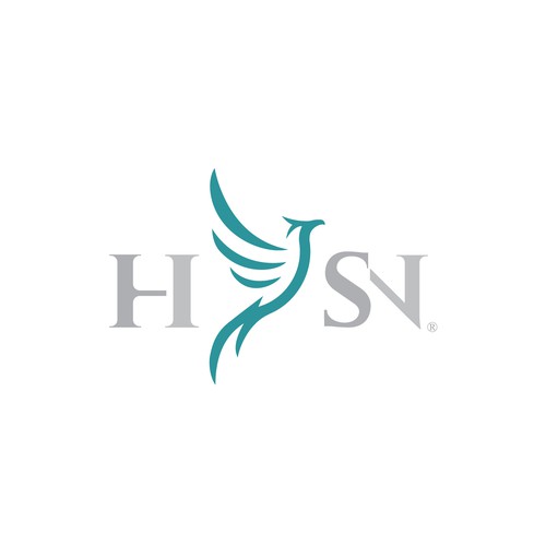 Logotype concept for HISN