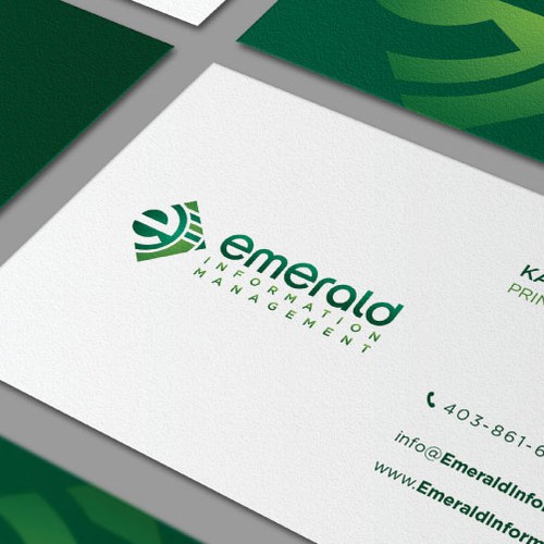 EMERALD INFORMATION MANAGEMENT