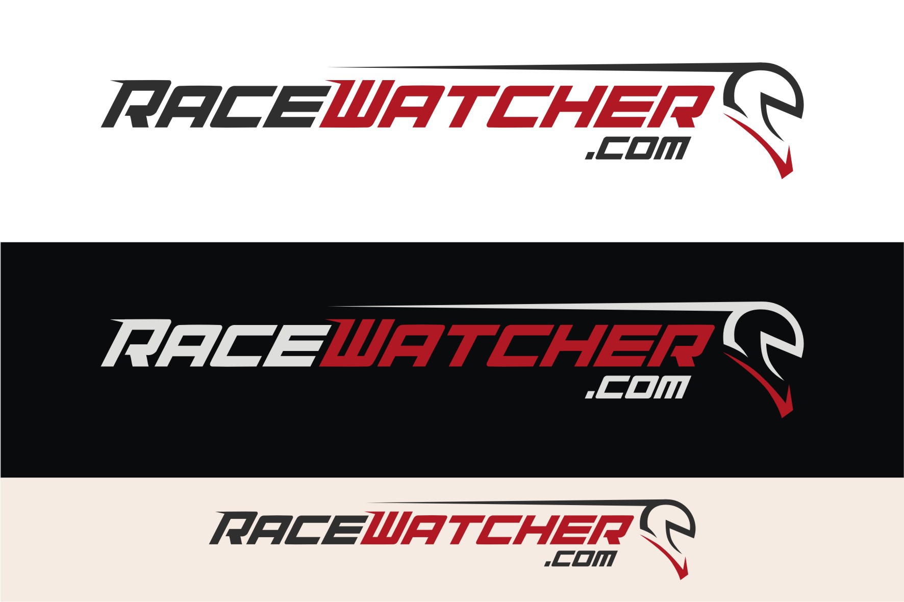 Create the next logo for raceWatcher