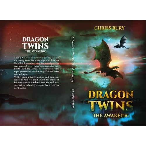 Book cover: DRAGON TWINS