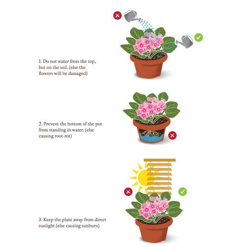 Plant care illustration