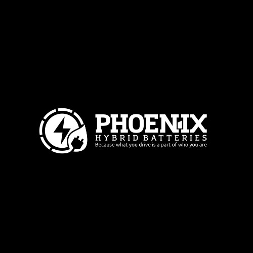  Phoenix Hybrid Batteries 