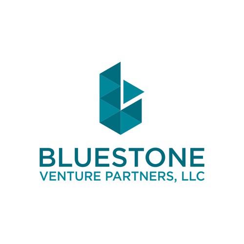 BlueStone Venture Partners, LLC