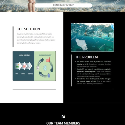 WordPress Website