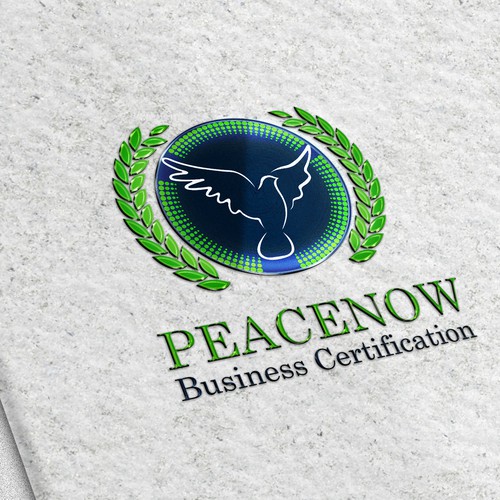 Logo Design for PeaceNow