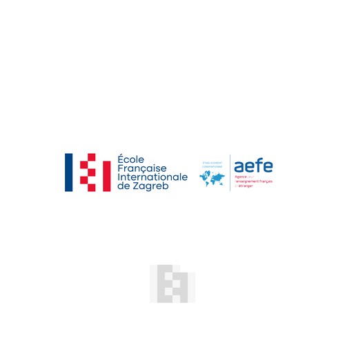 EFIZ