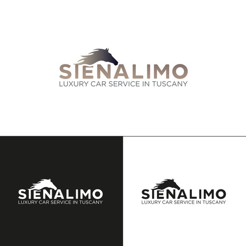 Classicità e mordernità insieme,per il Logo dei un'agenzia di limousine in Toscana.