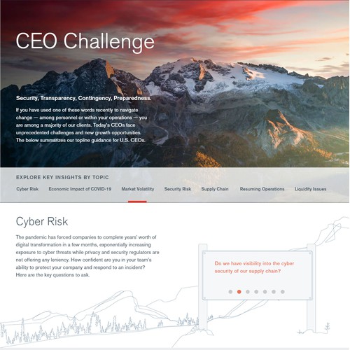 CEO Challenge Microsite 2021