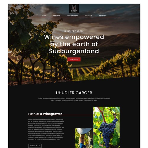 Modern and elegant web design for a small winegrower
