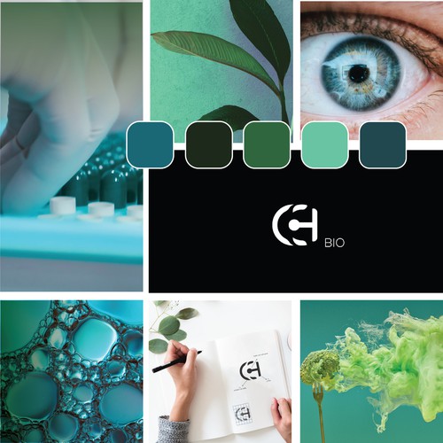 CCH logo Design