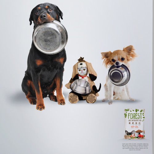 Premium Dog Food Packaging Design