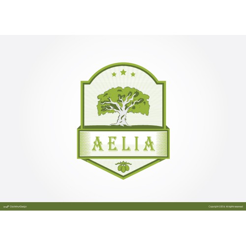 Olive tree illustration