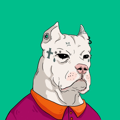CryptoPitz Unused NFT Character Design