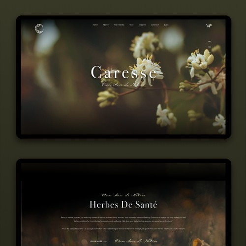 Website project for Caresse