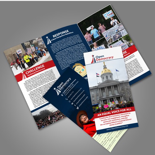 Help us clean up govt! Open Democracy seeking catchy first brochure for widespread distribution