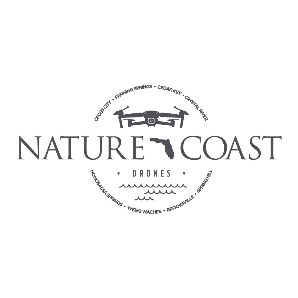Florida based drone company needs a modern logo