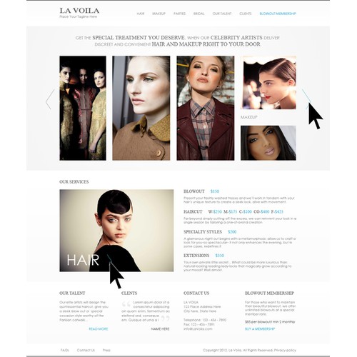 Hair Website Concept