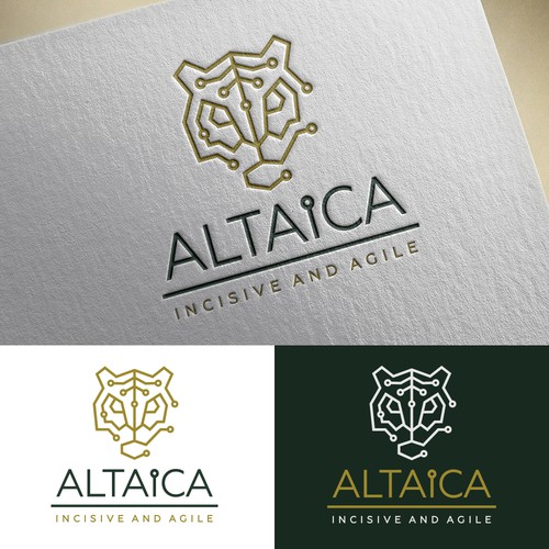 Logo concept for Altaica IT consultants