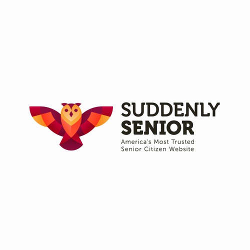 Geometric modern logo for suddenly senior.