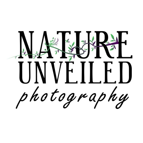 Photography logo