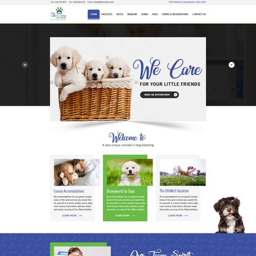 Unique activity-based dog care facility seeks a new, unique webpage!.