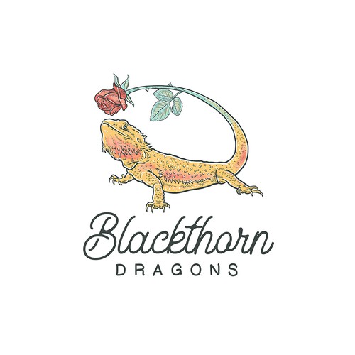 Blackthorn Dragons