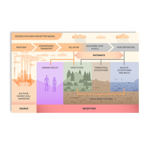 Illustrated Diagram