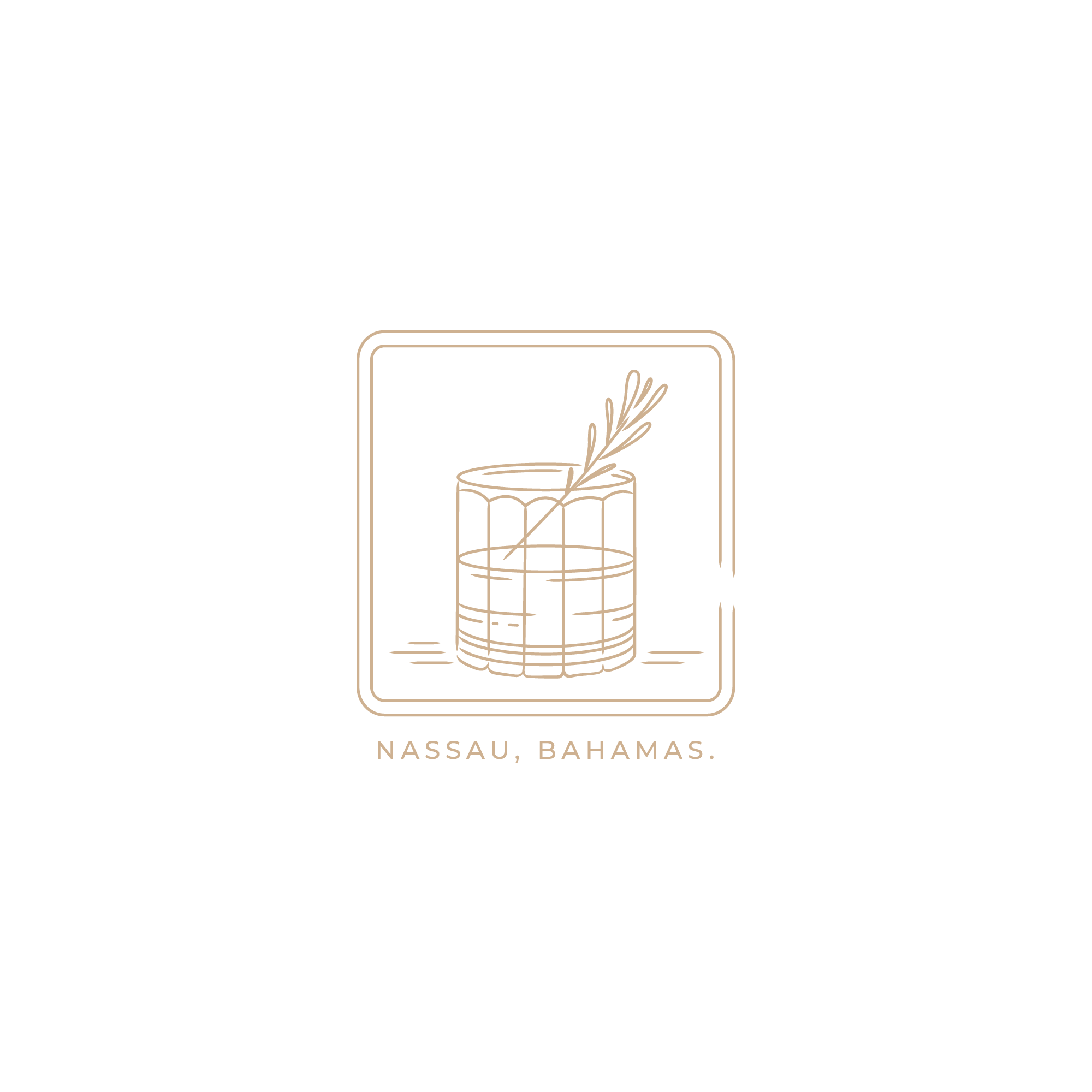Speakeasy in Bahamas 🍸 - LOGO + Brand Style Guide