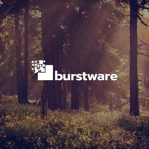 Burstware solid design