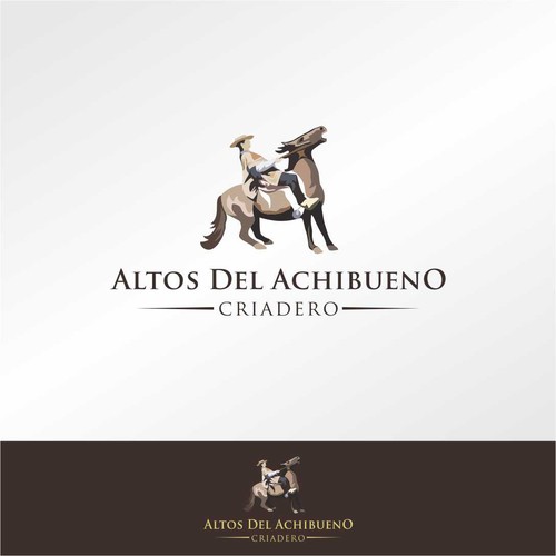 altos de achibueno