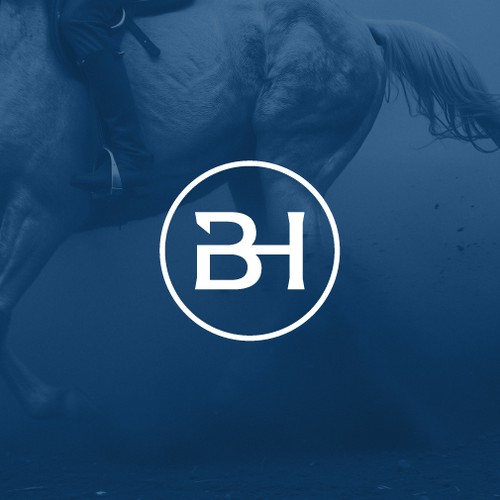Blue Horseshoe Capital - LOGO