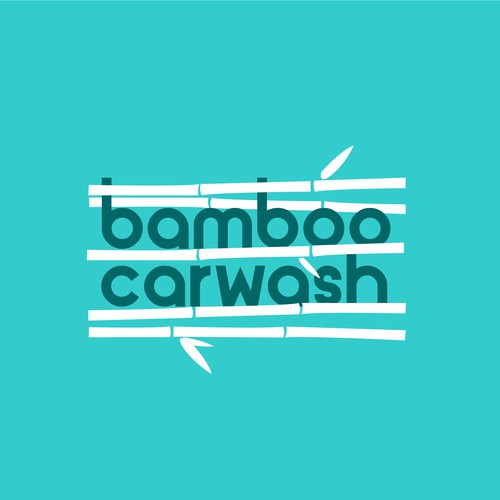 Bamboo CarWash