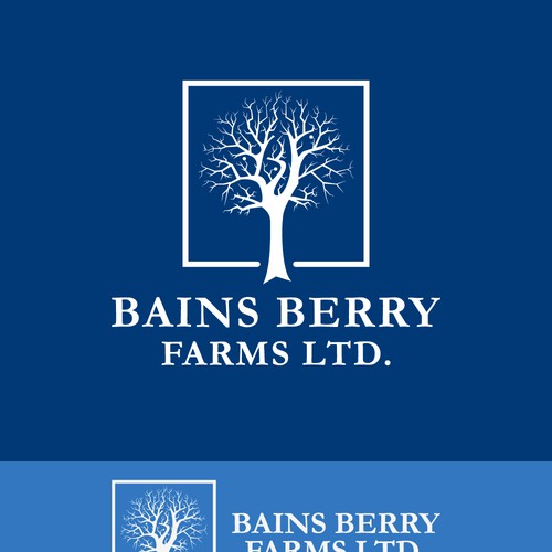 Classic concept for Bains Berry Farms