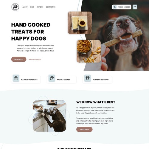 Dogs food shop homepage