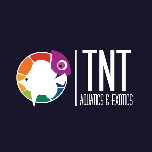 TNT A&E