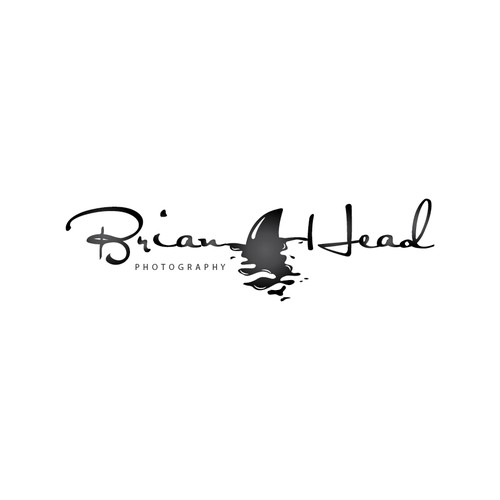 Create an eloquently simple logo for Brian Head Photography