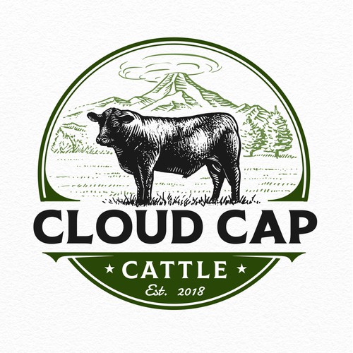 Cloud Cap Cattle