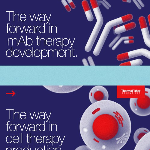 Antibodies and cells simple illustrations