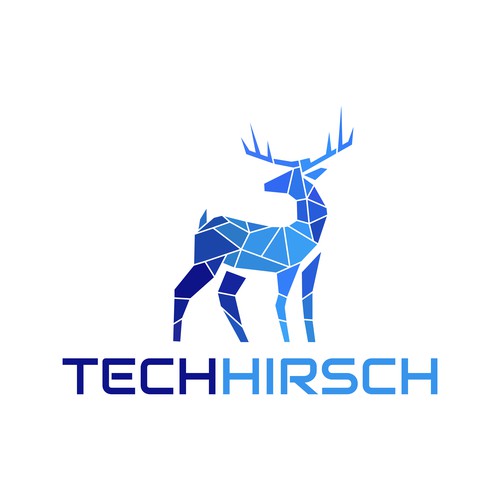 tech hirsch logo