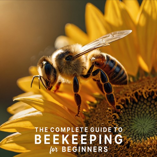 Book cover.