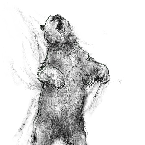 Bear sketch
