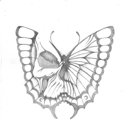 Skull Wing Butterfly 