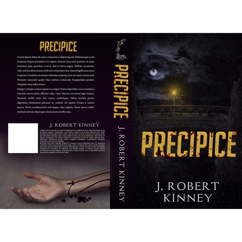 Book cover for Precipice