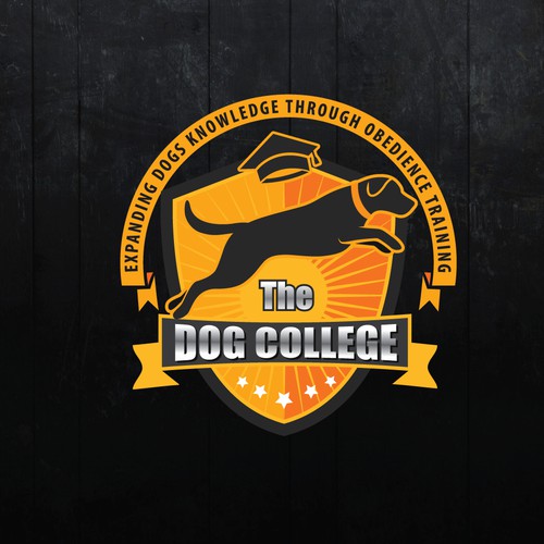 Dog training