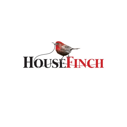 HouseFinch