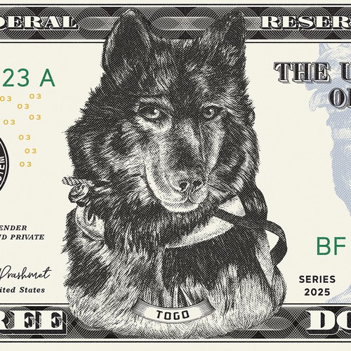 Dollar Bill engraving illustration