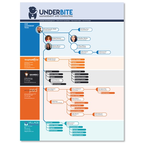 Organizational Chart for a Dental Management & Consulting firm