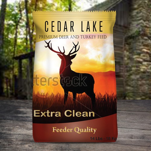 Cedar Lake Wild Life Feed